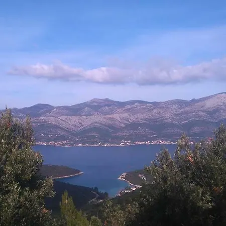Vejo