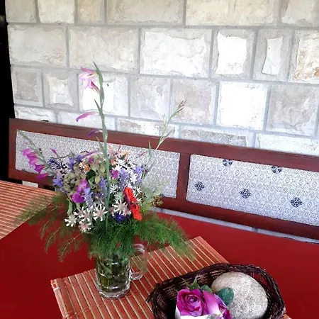 Vejo Korčula
