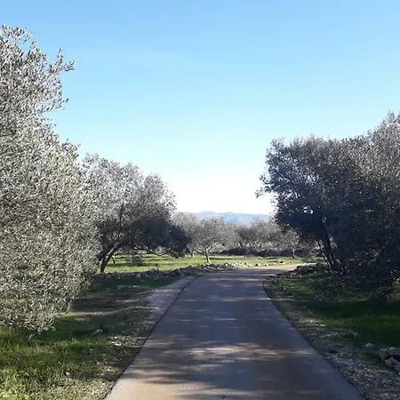 Vejo 3*