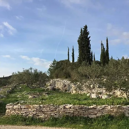 Vejo Penzion